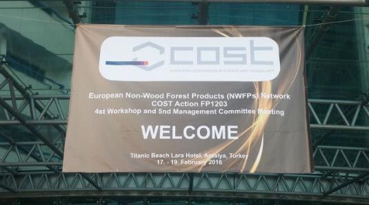  European Non-Wood Forest Products (NWFPs) Meeting